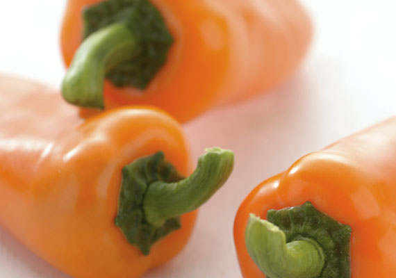 1. Planting method: Polybag<br />
2. Medium used: Cocopeat<br />
3. Pack size: Depends on customer request<br />
4. Shelf life / Storage: 5 days. Best keep at chilling temperature<br />
5. Suggestion uses: Pizza topping, stuffed jalapeno (seafood/meat/cheese).
