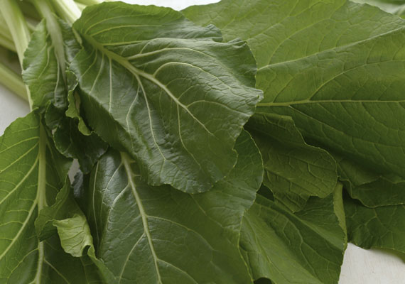 1.	Planting method: Land<br />
2.	Medium used: Soil<br />
3.	Pack size: 200 g, 300 g, Loose pack (>10 kg/ctn)<br />
4.	Shelf life / Storage: 5 days. Best store at chilling temperature in covered plastic bag with holes, containers or wrap (paper bag).<br />
5.	Suggestion uses: Stir frys with minced garlic and ginger/chilies, soup.
