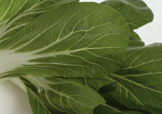 1.	Planting method: Land<br />
2.	Medium used: Soil<br />
3.	Pack size: 300 g<br />
4.	Shelf life / Storage: 5 days. Best store at chilling temperature in covered plastic bag with holes, containers or wrap (paper bag).<br />
5.	Suggestion uses: Stir frys with minced garlic and ginger/chilies, steam.
