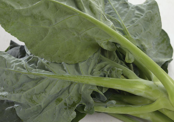 1.	Planting method: Land<br />
2.	Medium used: Soil<br />
3.	Pack size: 250 g<br />
4.	Shelf life / Storage: 5 days. Best store at chilling temperature in covered plastic bag with holes, containers or wrap (paper bag).<br />
5.	Suggestion uses: Stir frys with minced garlic/ginger/oyster sauce/chilies.
