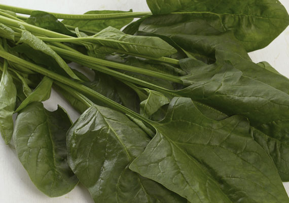 1.	Planting method: Land<br />
2.	Medium used: Soil<br />
3.	Pack size: 250 g<br />
4.	Shelf life / Storage: 5 days. Best store at chilling temperature in covered plastic bag with holes, containers or wrap (paper bag).<br />
5.	Suggestion uses: Stir frys with garlic.
