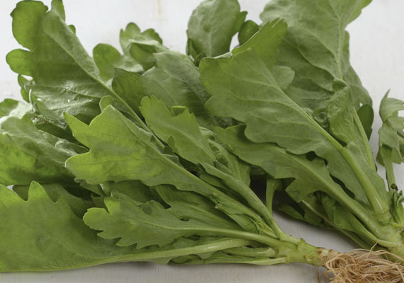 1.	Planting method: Land<br />
2.	Medium used: Soil<br />
3.	Pack size: 200 g<br />
4.	Shelf life / Storage: 5 days. Best store at chilling temperature in covered plastic bag with holes, containers or wrap (paper bag).<br />
5.	Suggestion uses: Stir frys with garlic sauce, hot pot.
