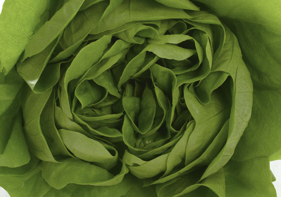 1. Planting method: Hydroponic/Polybag<br />
2. Medium used: Cocopeat<br />
3. Pack Size: 1 pcs, 150 g, Loose pack (>5 kg)<br />
4. Shelf life / Storage: 5 days. Place paper towel into a plastic storage container with salad inside, seal the lid and keep at chilling temperature.<br />
5. Suggestion uses: Salad, sandwiches, wraps combine with salad dressing or stir frys.

