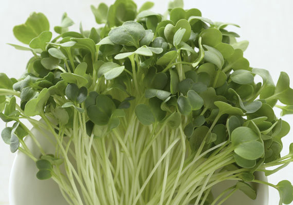1. Planting method: Hydroponic<br />
2. Medium used: Cocopeat<br />
3. Pack size: Depends on customer request<br />
4. Shelf-life / Storage: 5 days. Place paper towel into a plastic storage container with salad inside, seal the lid and keep at chilling temperature.<br />
5. Suggestion uses: In salad, garnish.
