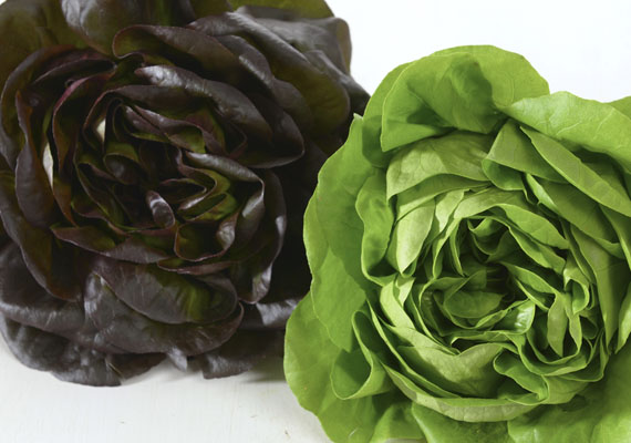 1. Planting method: Hydroponic/Polybag<br />
2. Medium used: Cocopeat<br />
3. Pack size: 2 pcs, 150 g<br />
4. Shelf life / Storage: 5 days. Place paper towel into a plastic storage container with salad inside, seal the lid and keep at chilling temperature.<br />
5. Suggestion uses: Salad, sandwiches, wraps combine with salad dressing or stir frys.
